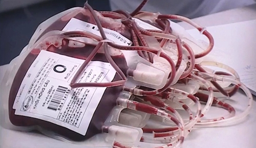 Phối hợp bảo đảm cung cấp máu và chế phẩm máu trong cấp cứu, điều trị cho người bệnh